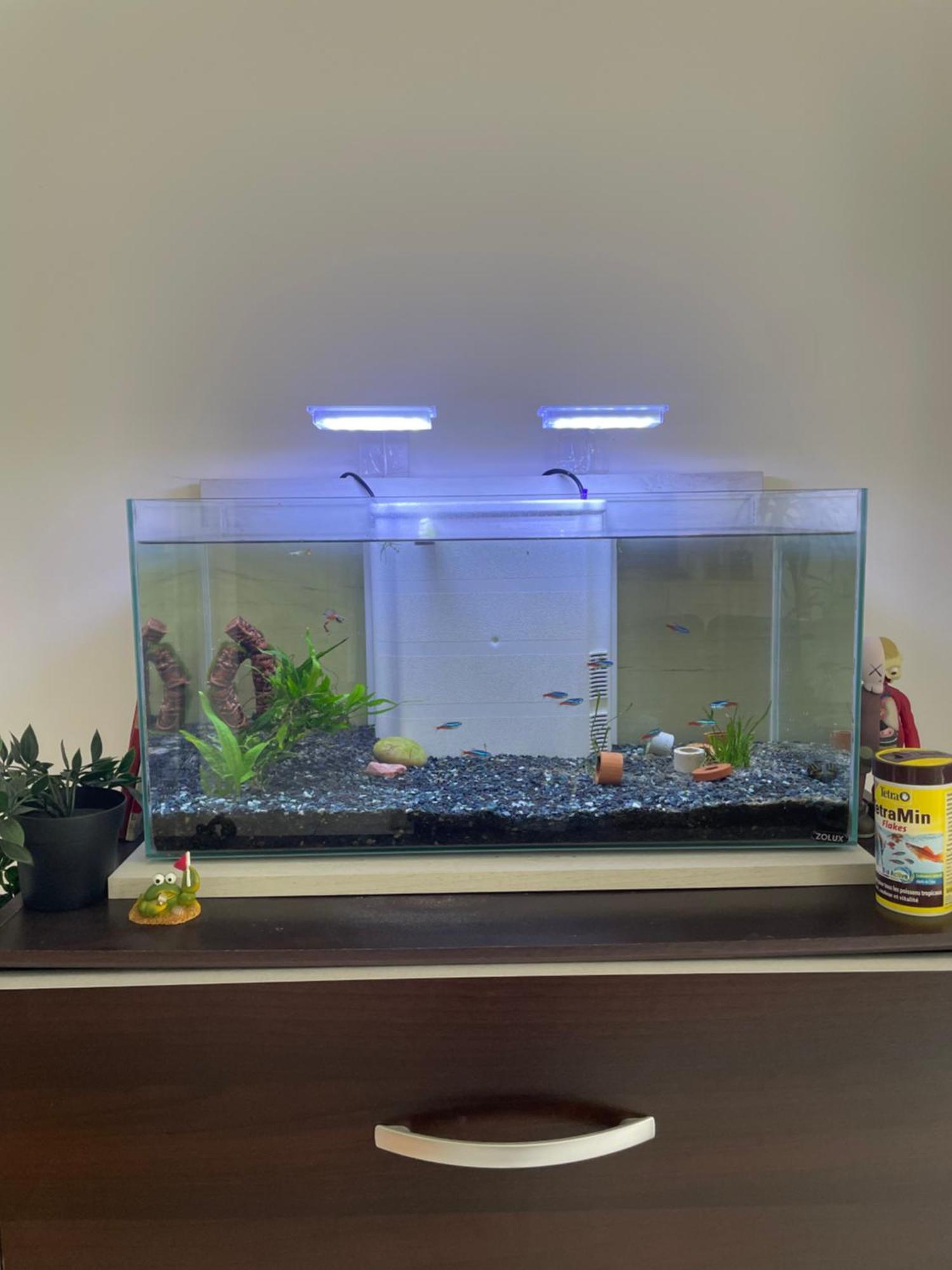 Appartement De Luca Saint-André-de-Cubzac エクステリア 写真